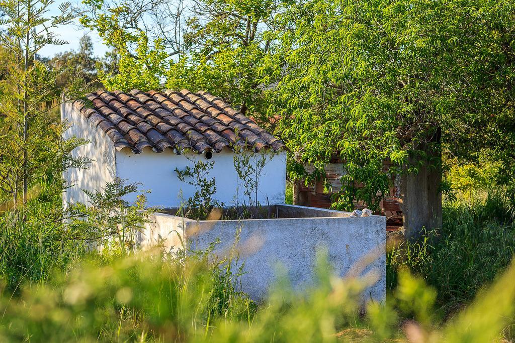 The New Laziness Guest House São Luis Exterior foto