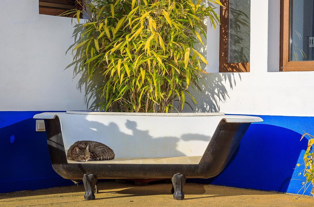 The New Laziness Guest House São Luis Exterior foto